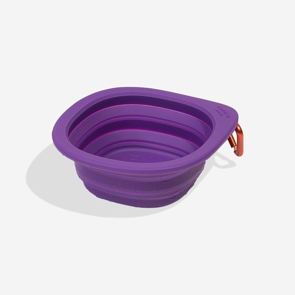 zeedog-go-bowl-peak_main-1.jpg Peak | Go Bowl - Image 1